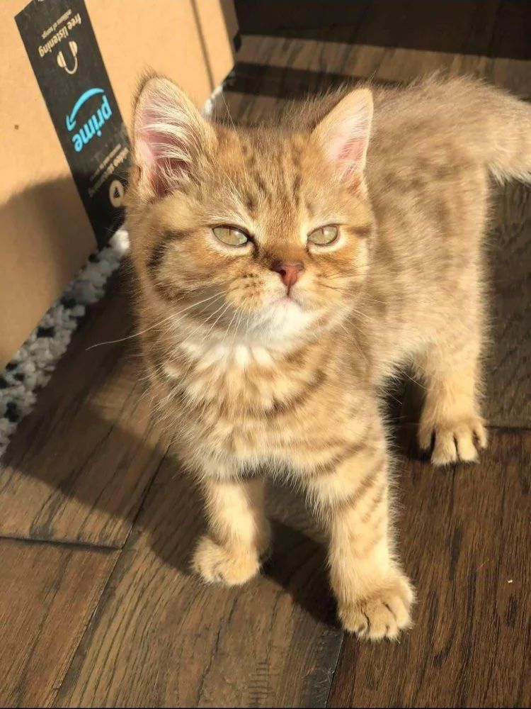 Myglit Jobs |  Ruth Oluwajimi - Recruiter