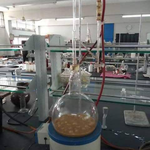 Myglit Jobs |  Mujeeb Azeez - Recruiter