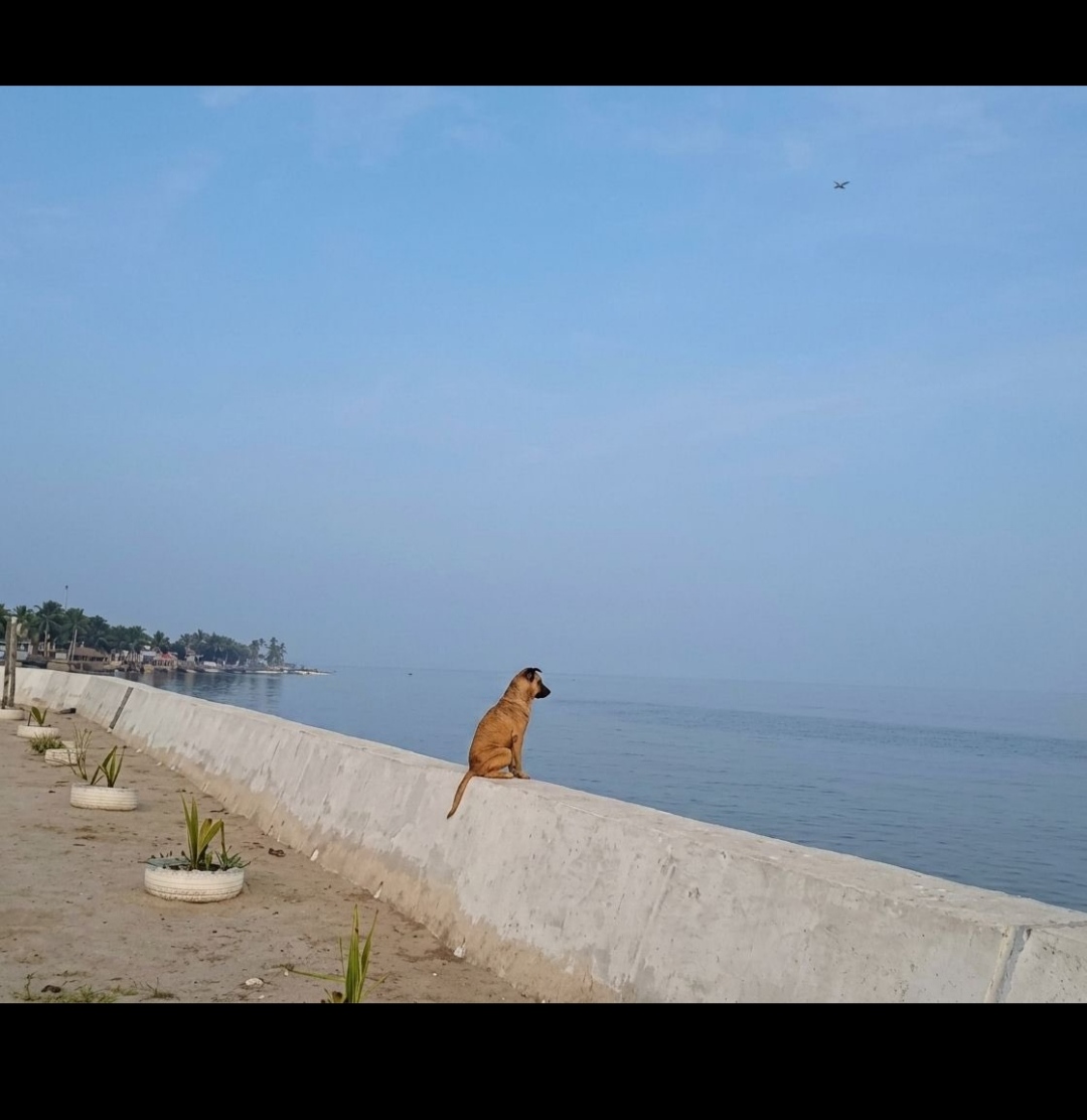 Myglit Jobs |  Adams Okpah - Recruiter